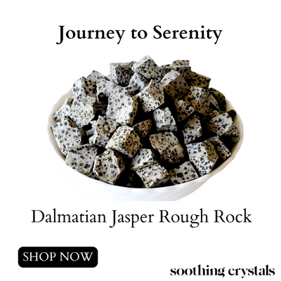 Dalmatian Jasper Rough Rocks (Grounding Energy and Good Fortune)