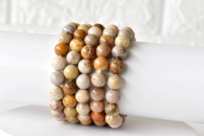 Fossil Coral Bracelet (Grounding and Longevity)