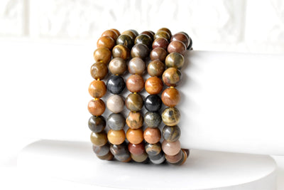 Petrified Wood Bracelet (Growth and Knowledge)