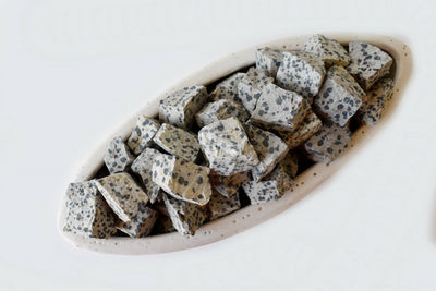 Dalmatian Jasper Rough Rocks (Grounding Energy and Good Fortune)