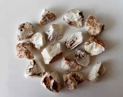 Scolecite Rough Rocks(Purification and Joy)