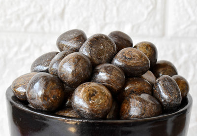 Bronzite Tumbled Crystals (Protection and Leadership)