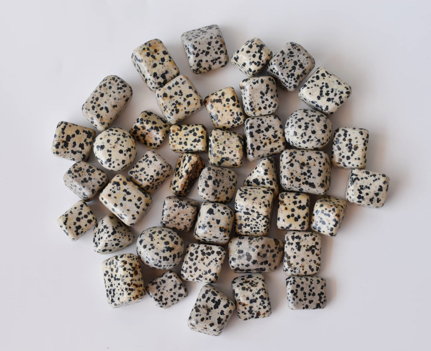 Dalmatian Jasper Tumbled Crystals (Luck And Good Fortune and Manifestation)