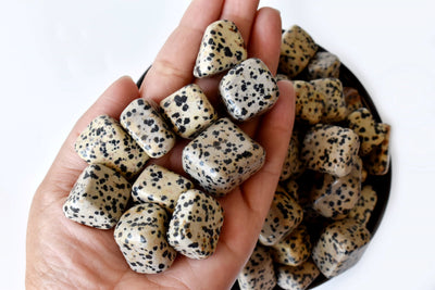 Dalmatian Jasper Tumbled Crystals (Luck And Good Fortune and Manifestation)