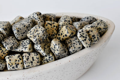 Dalmatian Jasper Tumbled Crystals (Luck And Good Fortune and Manifestation)