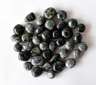 Kambaba Jasper Tumbled Crystals (Growth and Self Discovery)