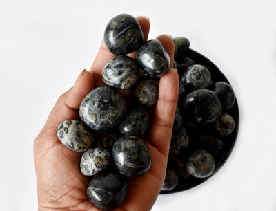 Kambaba Jasper Tumbled Crystals (Growth and Self Discovery)