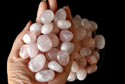 Rose Quartz Tumbled Crystals (Anxiety Relief and Relaxation)