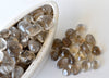 light Smokey Quartz Tumbled Crystals(Sense of Purpose and Purification)