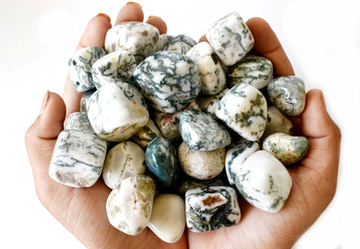 Tree Agate Tumbled Crystals (Knowledge and Trust)