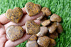 Elephant Jasper Heart Crystal, Puffy Mini 1 Inch Pocket Crystal Heart