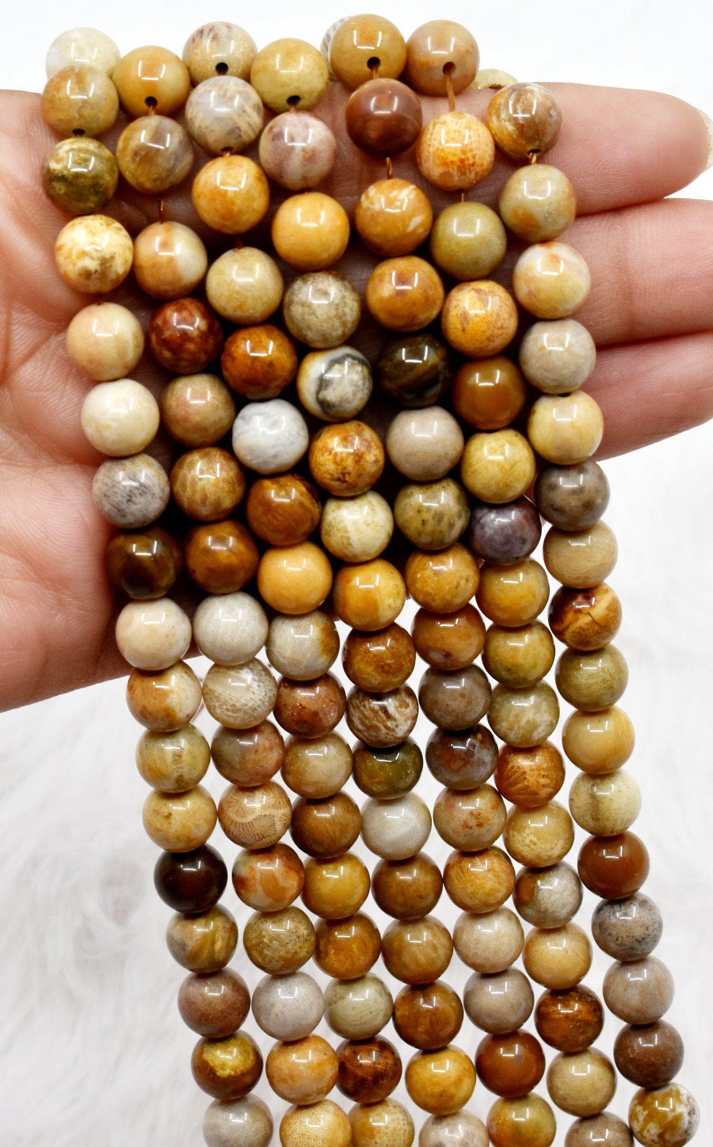 Fossil Coral A Grade 4mm, 6mm, 8mm, 10mm Round Beads