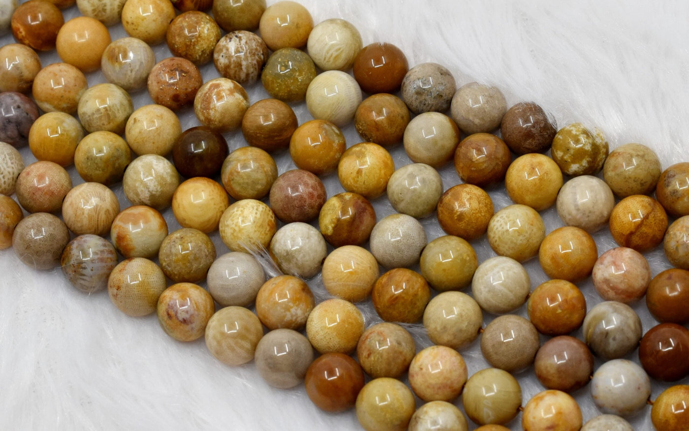 Fossil Coral A Grade 4mm, 6mm, 8mm, 10mm Round Beads