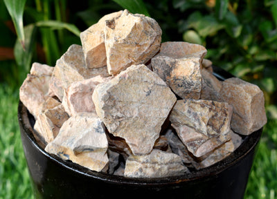 Picture Jasper Rough Natural Stones 1 pouce Picture Jasper Raw Stones, Raw Crystal Chunks in pack size 4oz, 1/2lb, 1lb.