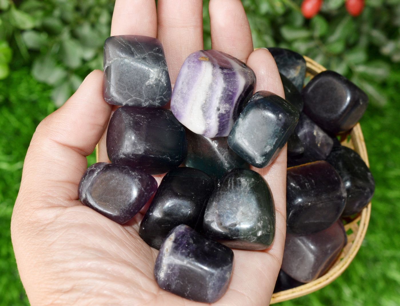 Multi Fluorite Tumbled Crystals (Self-Discipline and Clarity)