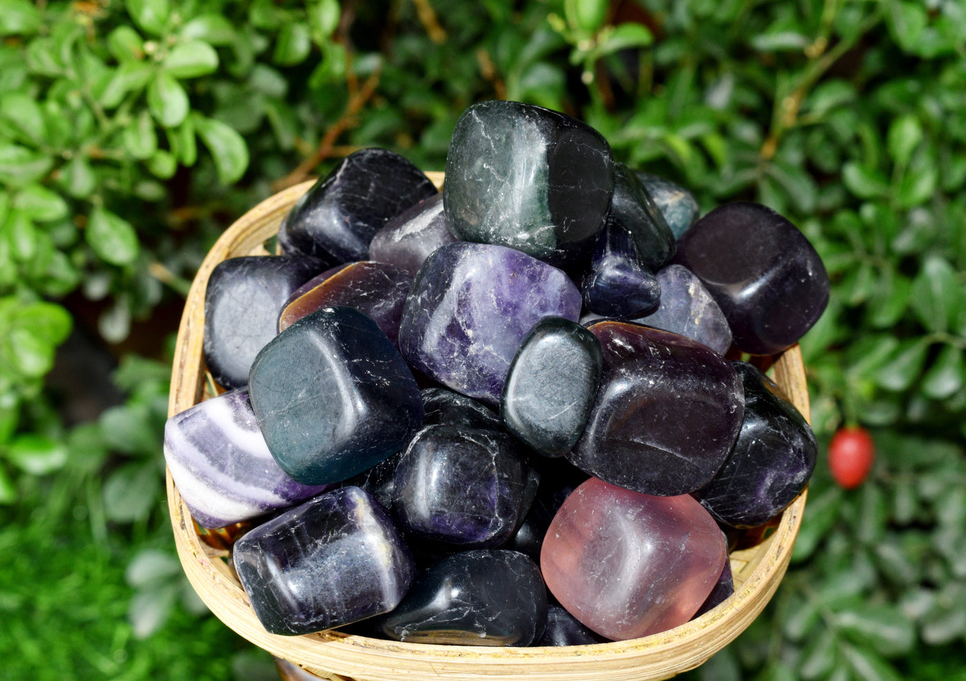 Multi Fluorite Tumbled Crystals (Self-Discipline and Clarity)