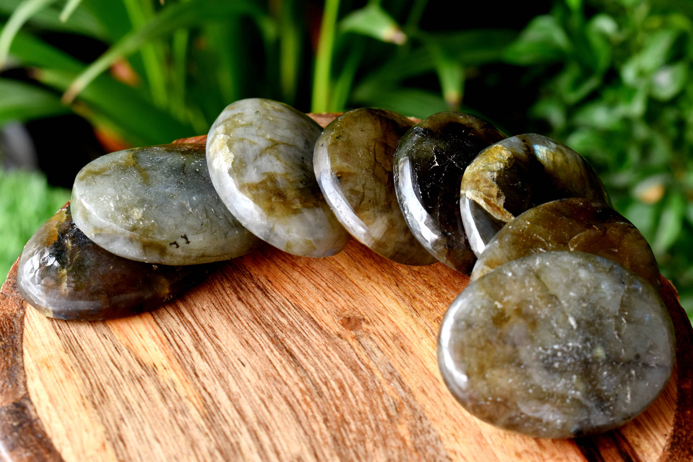 Bulk Lot 50pcs Labradorite Worry Stone for crystal healing (Pocket Palm Stone / Thumb Stone)