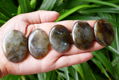 Bulk Lot 50pcs Labradorite Worry Stone for crystal healing (Pocket Palm Stone / Thumb Stone)