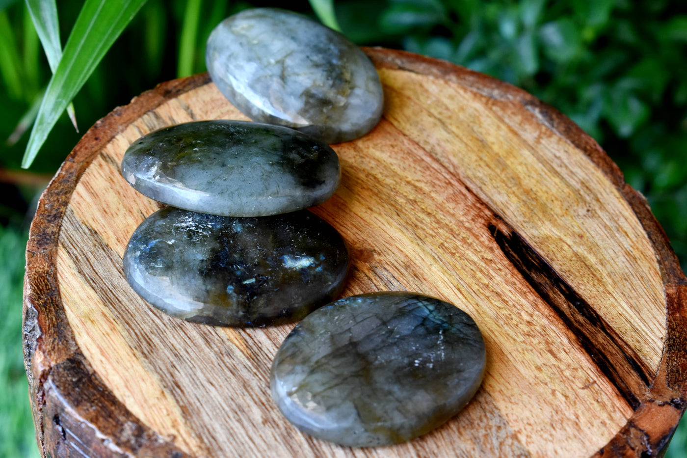 Bulk Lot 50pcs Labradorite Worry Stone for crystal healing (Pocket Palm Stone / Thumb Stone)